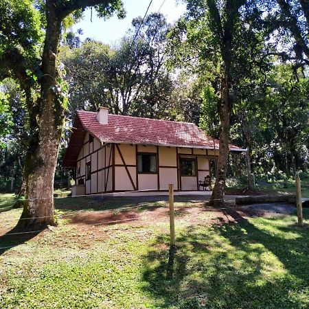 Villa Casa Goethe - Bio Cult Campo Alegre  Exterior foto